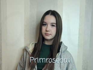 Primrosedavi
