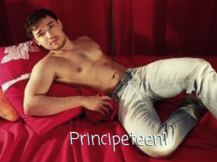 Principeteen1