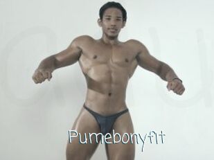 Pumebonyfit