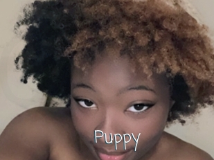 Puppy