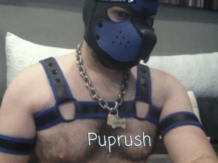 Puprush