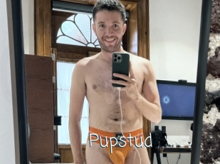 Pupstud