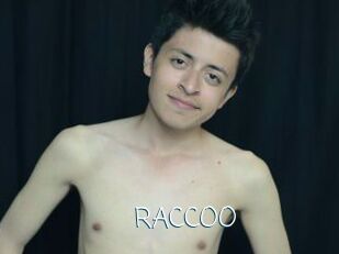 RACCOO