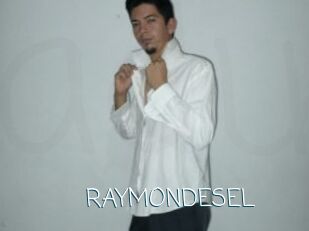 RAYMONDESEL
