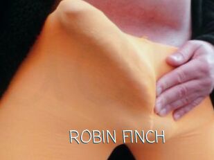 ROBIN_FINCH