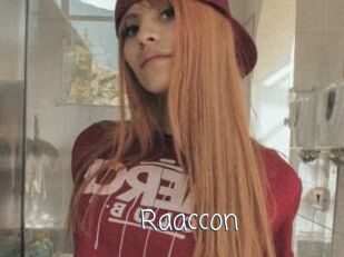 Raaccon