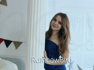 RainbowBird