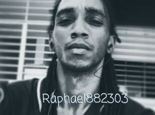 Raphael882303