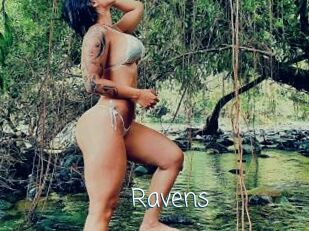 Ravens