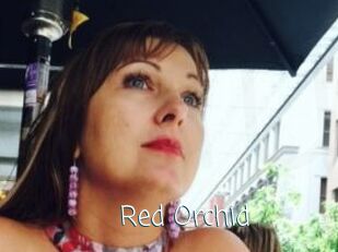 Red_Orchid