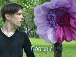 Rodrigie