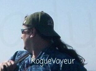 RogueVoyeur