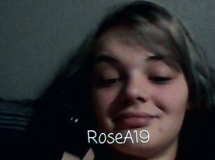 RoseA19