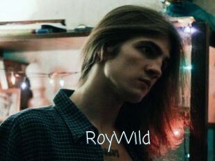 RoyWild