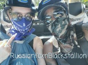 RussianfoxnBlackstallion