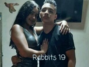 Rabbits_19