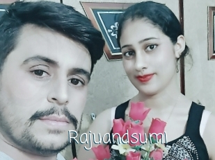 Rajuandsumi