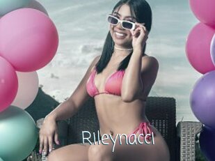 Rileynacci
