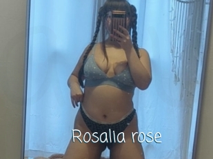 Rosalia_rose