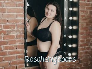 Rosaliebigboobs