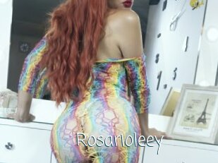 Rosarioleey