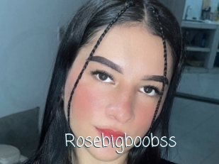 Rosebigboobss
