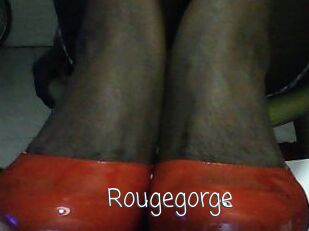 Rougegorge