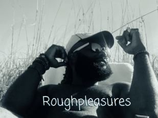 Roughpleasures