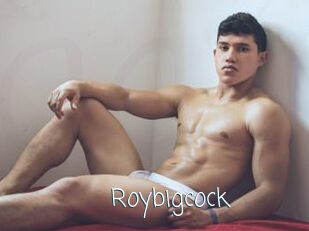 Roybigcock