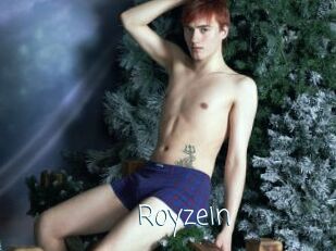 Royzein