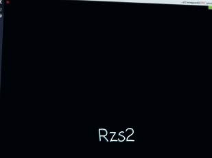 Rzs2