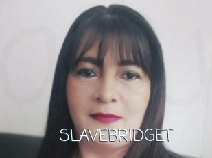 SLAVEBRIDGET