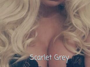 Scarlet_Grey Adult o Porn