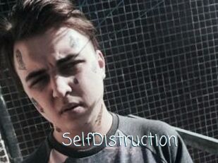 SelfDistruction
