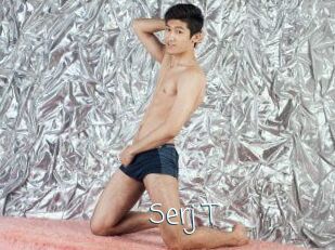Serj_T Adult o Porn