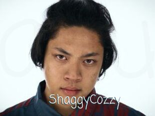 ShaggyCozzy