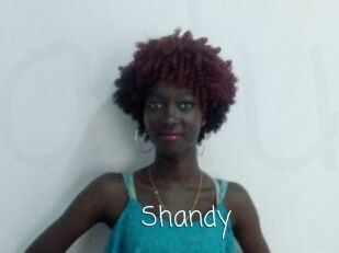 Shandy