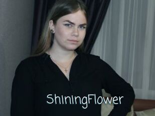 ShiningFlower Adult o Porn
