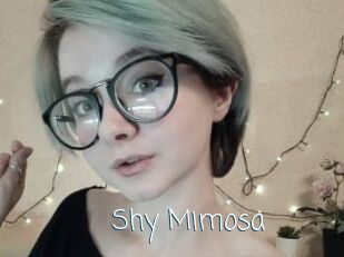 Shy_Mimosa