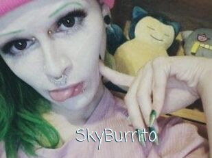 SkyBurrito