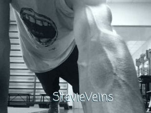 StevieVeins
