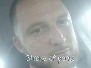 Stroke_of_penis