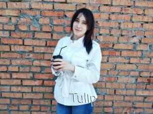 Tulip