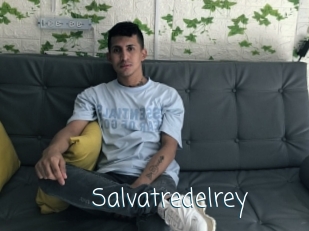 Salvatredelrey