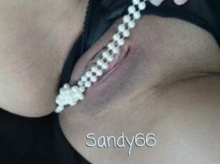 Sandy66