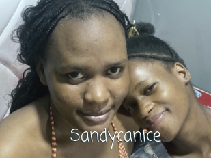 Sandycanice