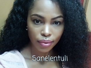 Sanelentuli