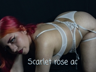Scarlet_rose_ac