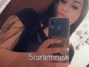 Scarlethrush