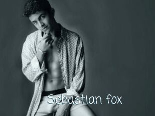Sebastian_fox